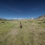FOV-Adjuster3