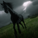 Feathered-Appaloosa
