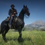 Feathered-Appaloosa2