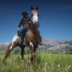Feathered-Appaloosa4