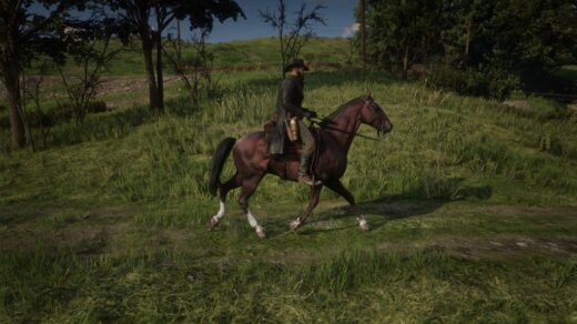 First-horse-1024x576-1