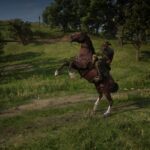 First-horse2