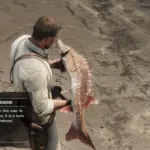 Fisherman