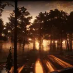 Florida-Vegetation-for-Swamps