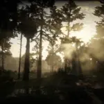 Florida-Vegetation-for-Swamps2