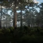 Florida-Vegetation-for-Swamps4