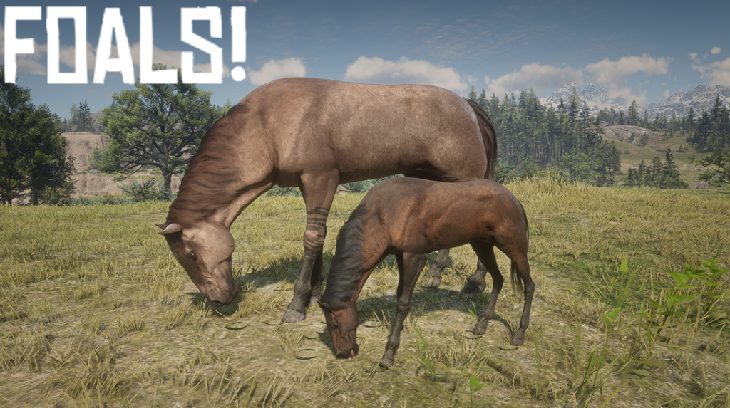 Foals V1.0.1