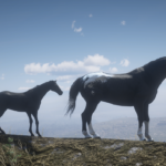 Foals3