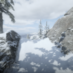 Forest-on-Mount-Hagen