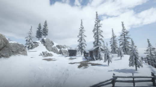 Forest-on-Mount-Hagen2-1024x432-1