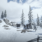 Forest-on-Mount-Hagen2