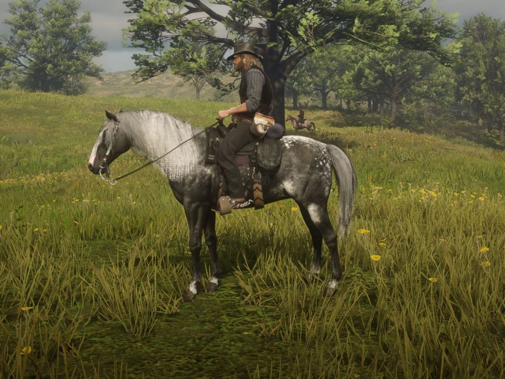 Foxtrotter Redemption