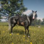 Foxtrotter-Redemption2