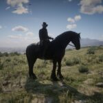 Friesian