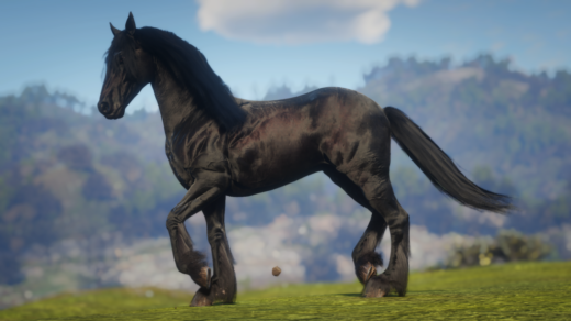 Friesian-Horse-Breed-1024x576-1