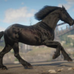 Friesian-Horse-Breed2