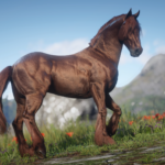 Friesian-Horse-Breed3