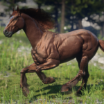 Friesian-Horse-Breed4