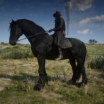 Friesian2