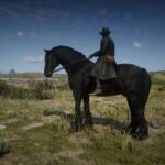 Friesian3