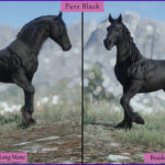 Friesians2-scaled-1