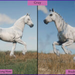 Friesians3-scaled-1