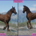 Friesians4-scaled-1