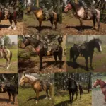 Garden-Mustang-Packs
