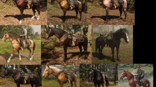 Garden-Mustang-Packs