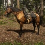 Garden-Mustang-Packs4