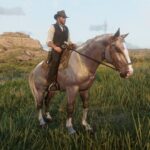 Garden-Mustangs-Pack-22