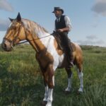 Garden-Mustangs-Pack-23