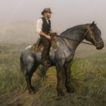 Garden-Mustangs-Pack-24