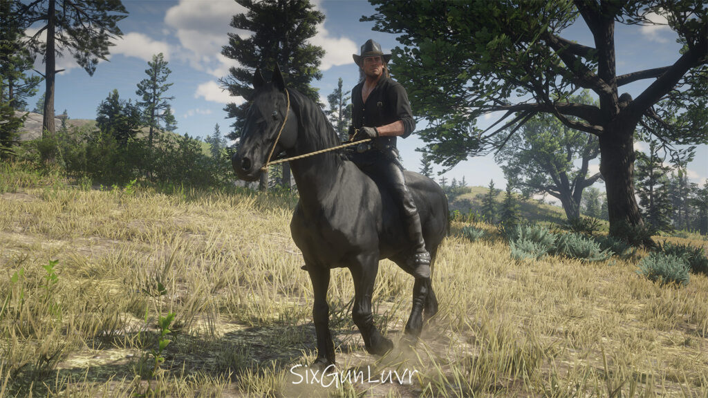 Grullo Dun Mustang Horse Coats
