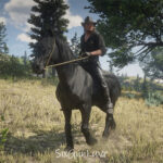 Grullo-Dun-Mustang-Horse-Coats