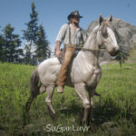 Grullo-Dun-Mustang-Horse-Coats2