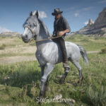 Grullo-Dun-Mustang-Horse-Coats4