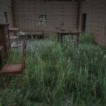 HOUSE-ON-THE-HILL3