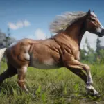 Haflinger-Horse-Breed