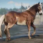 Haflinger-Horse-Breed3