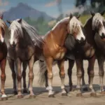 Haflinger-Horse-Breed4