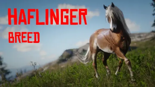 Haflinger-Horse-Breed5-1024x576-1
