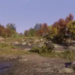 Heart-Plains-Big-Trees-and-Autumn-Vegetation3