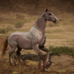 Heartlander-Horse3