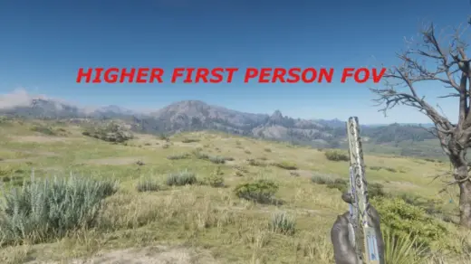 Higher-First-Person-FOV-1024x432-1