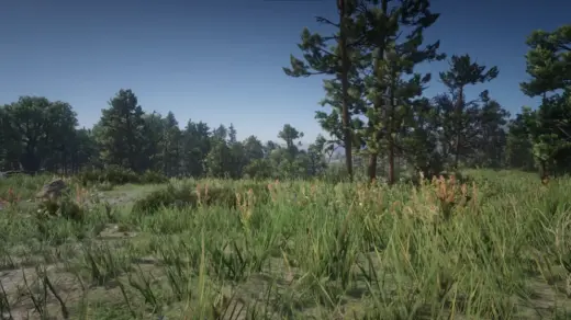 Higher-Resolution-Vegetation-1024x558-1