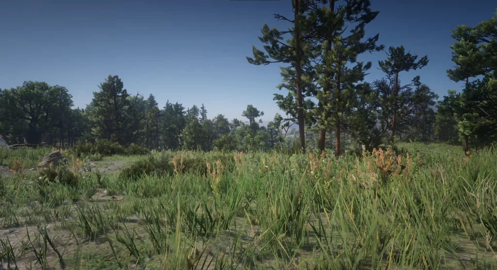 Higher Resolution Vegetation