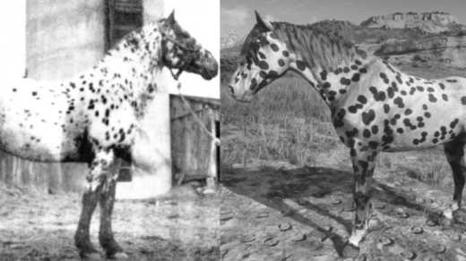 Historically-Accurate-Appaloosa-Models-1024x435-1