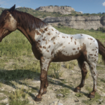 Historically-Accurate-Appaloosa-Models4