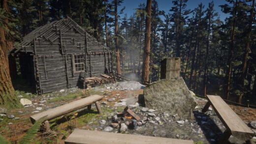 Home-in-the-woods-1024x576-1